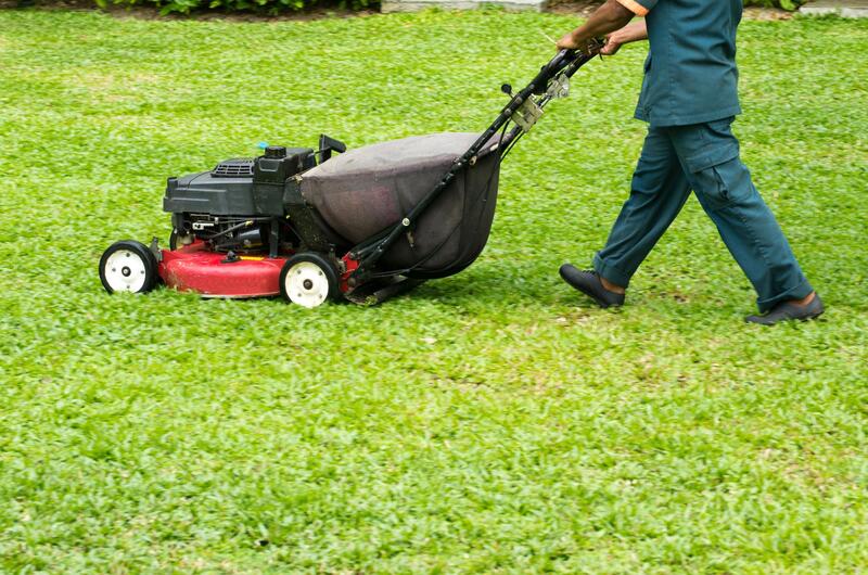 professional mowing services near me