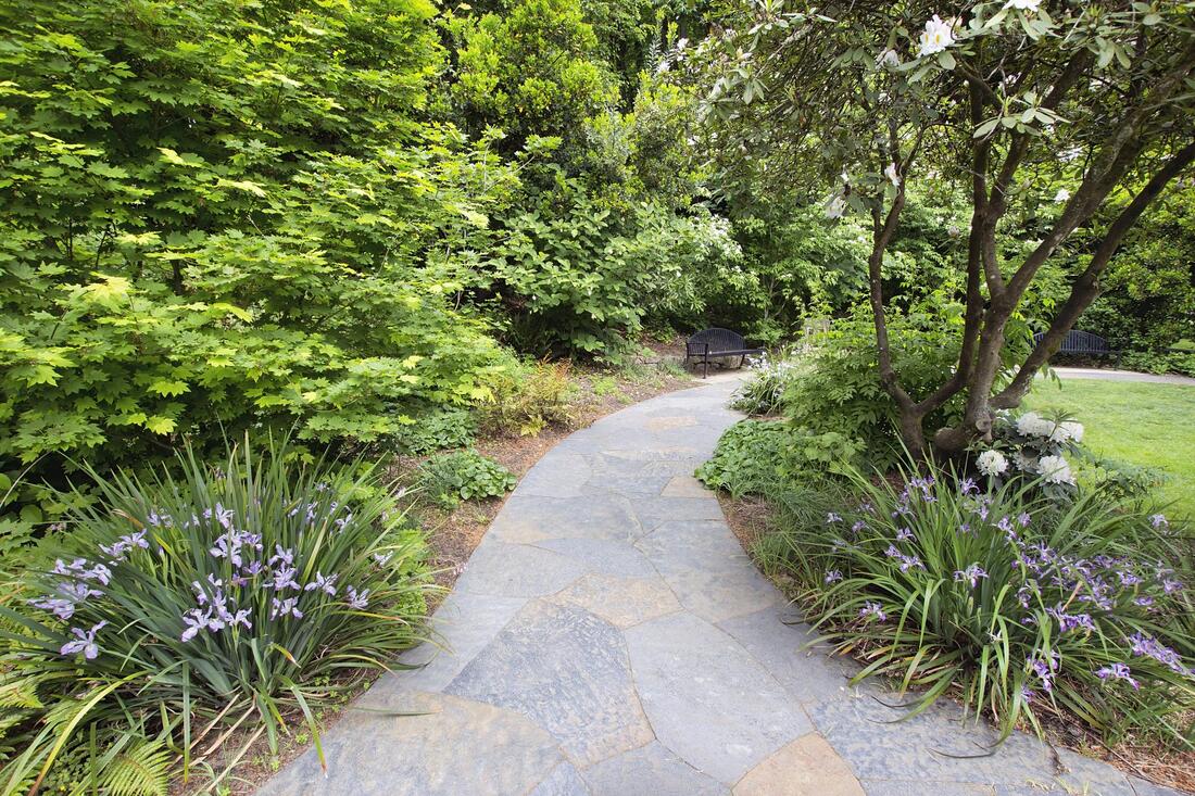 affordable paths and hardscaping services