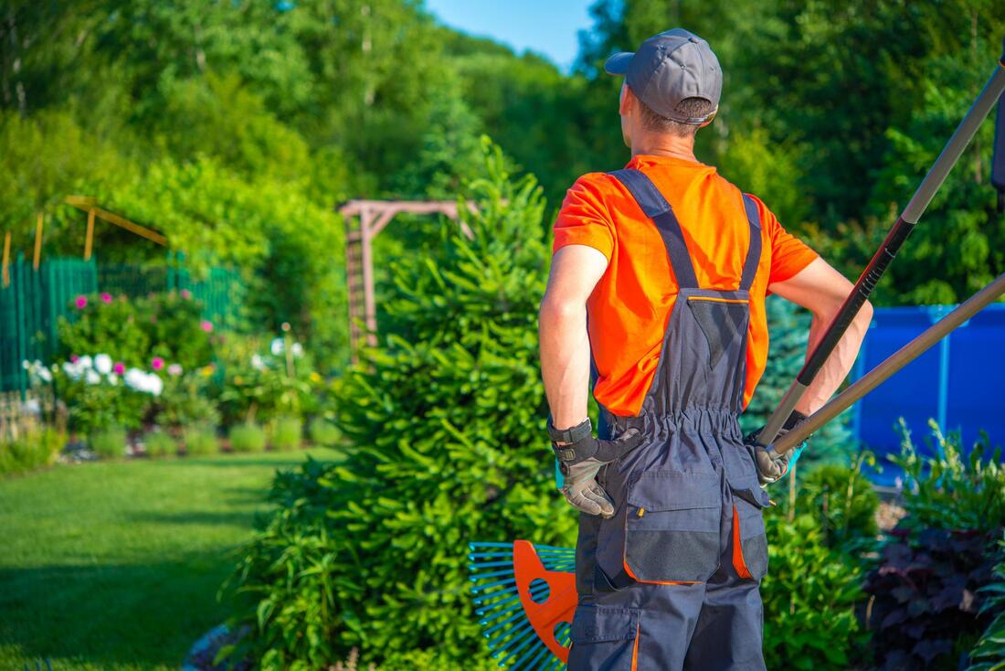 affordable landscaping services near me